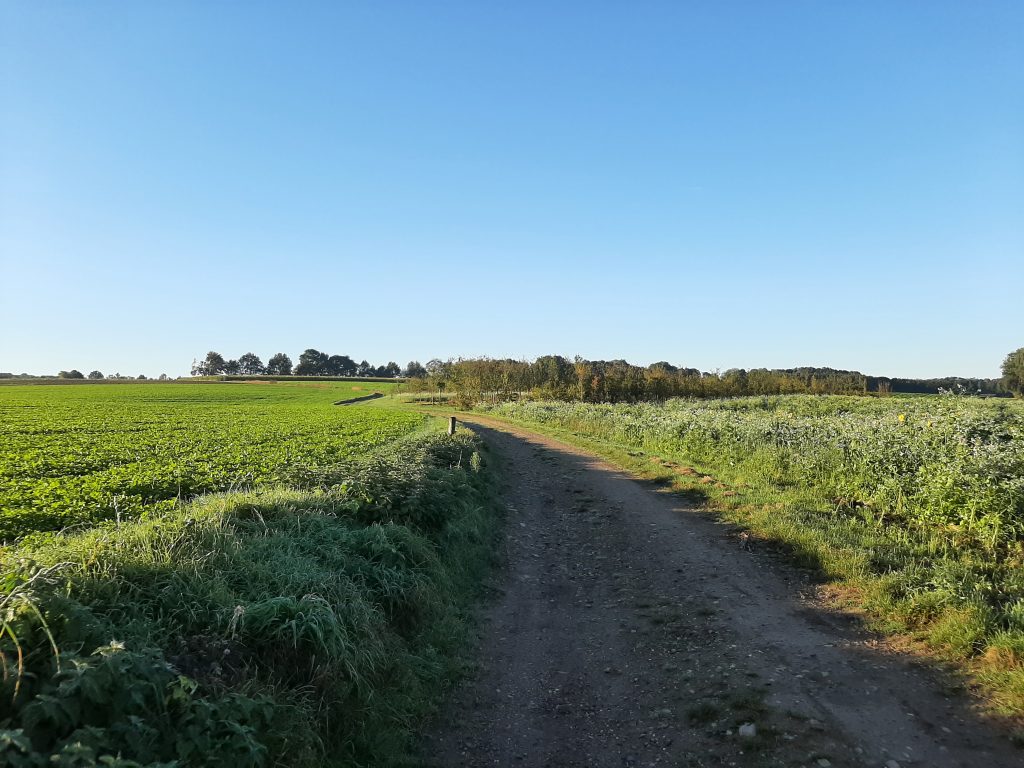 eifel — (Gastblog) Bikepacking Maastricht – Eifel – Brussel — photo 3
