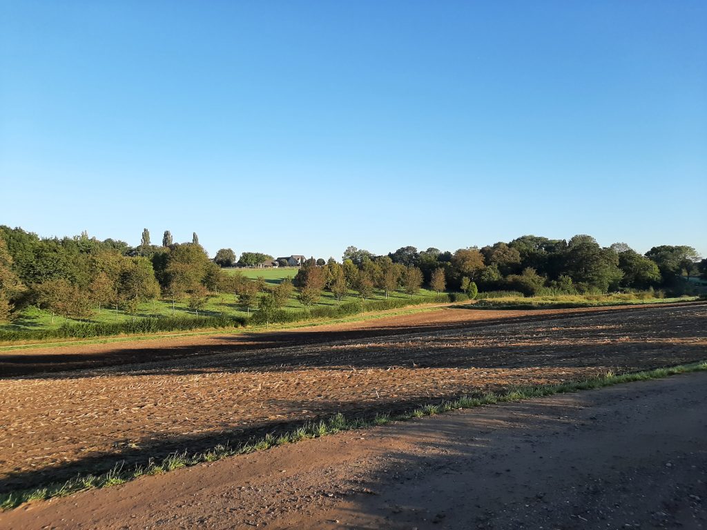 eifel — (Gastblog) Bikepacking Maastricht – Eifel – Brussel — photo 4