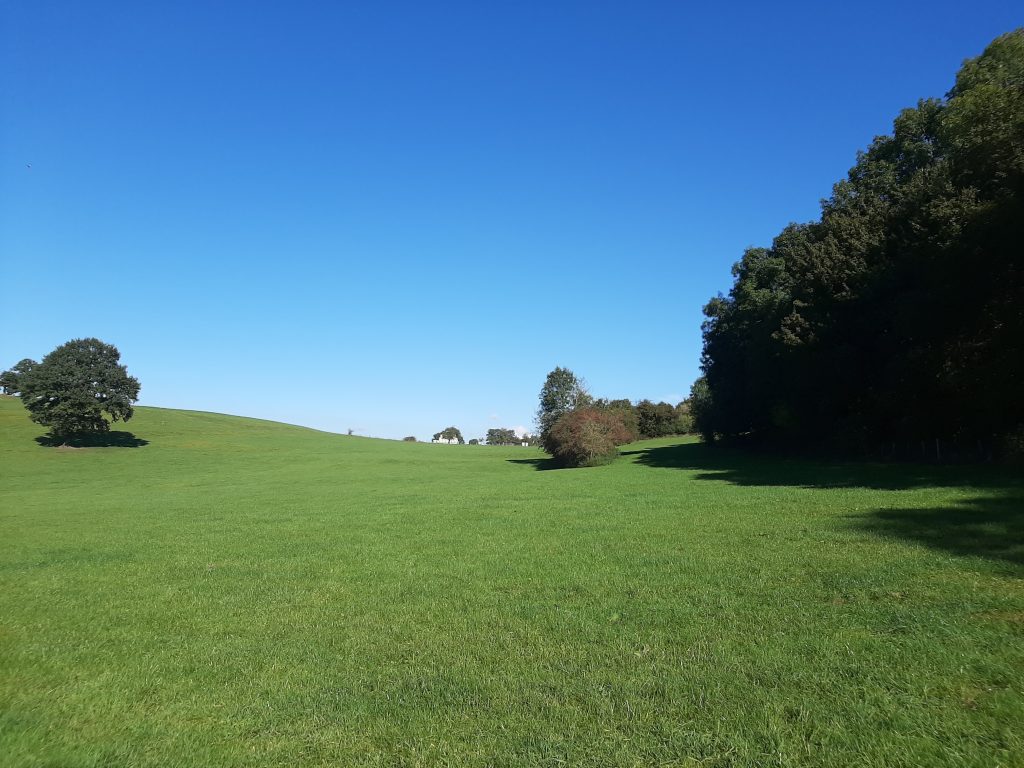 eifel — (Gastblog) Bikepacking Maastricht – Eifel – Brussel — photo 6