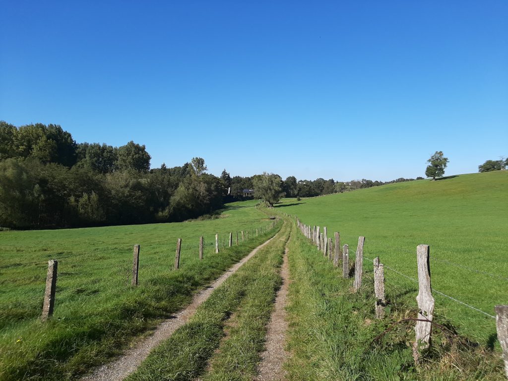 eifel — (Gastblog) Bikepacking Maastricht – Eifel – Brussel — photo 7