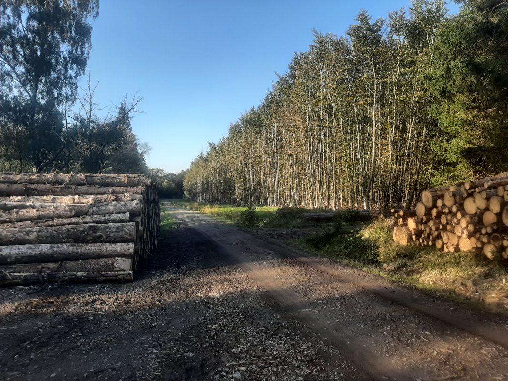 eifel — (Gastblog) Bikepacking Maastricht – Eifel – Brussel — photo 9