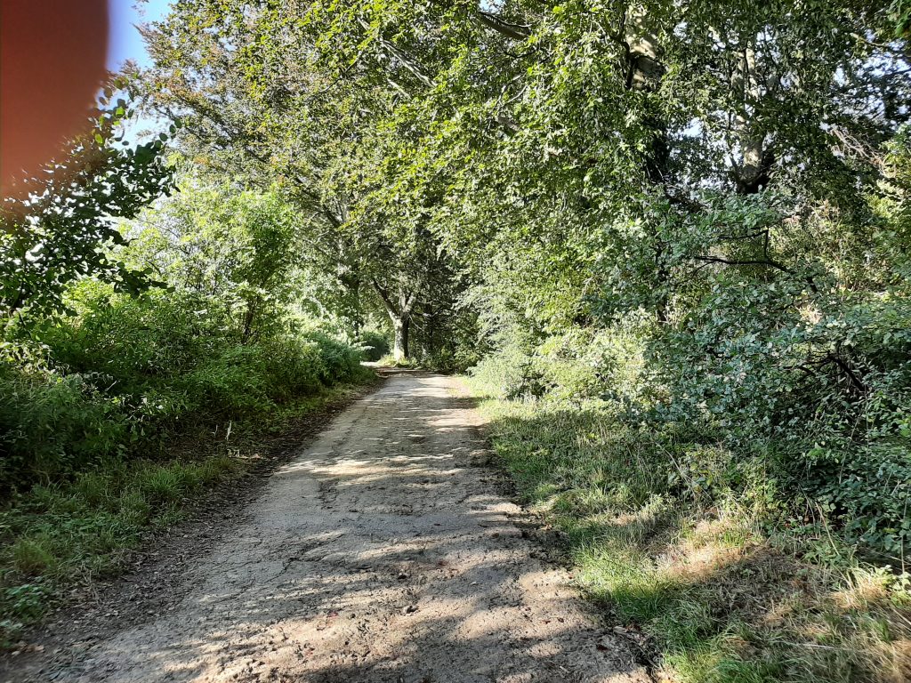 eifel — (Gastblog) Bikepacking Maastricht – Eifel – Brussel — photo 17