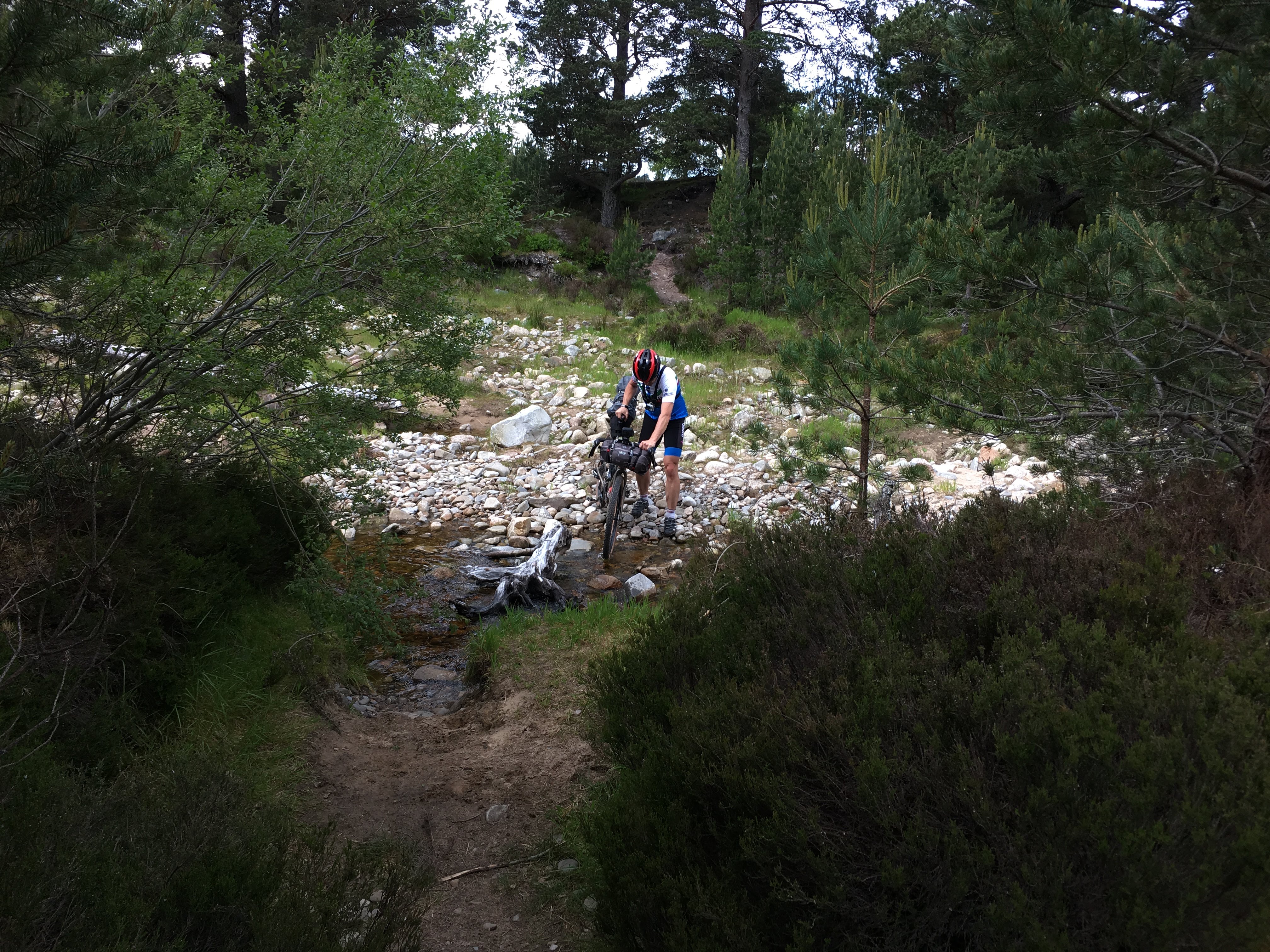 Cairngorms Loop — photo 1