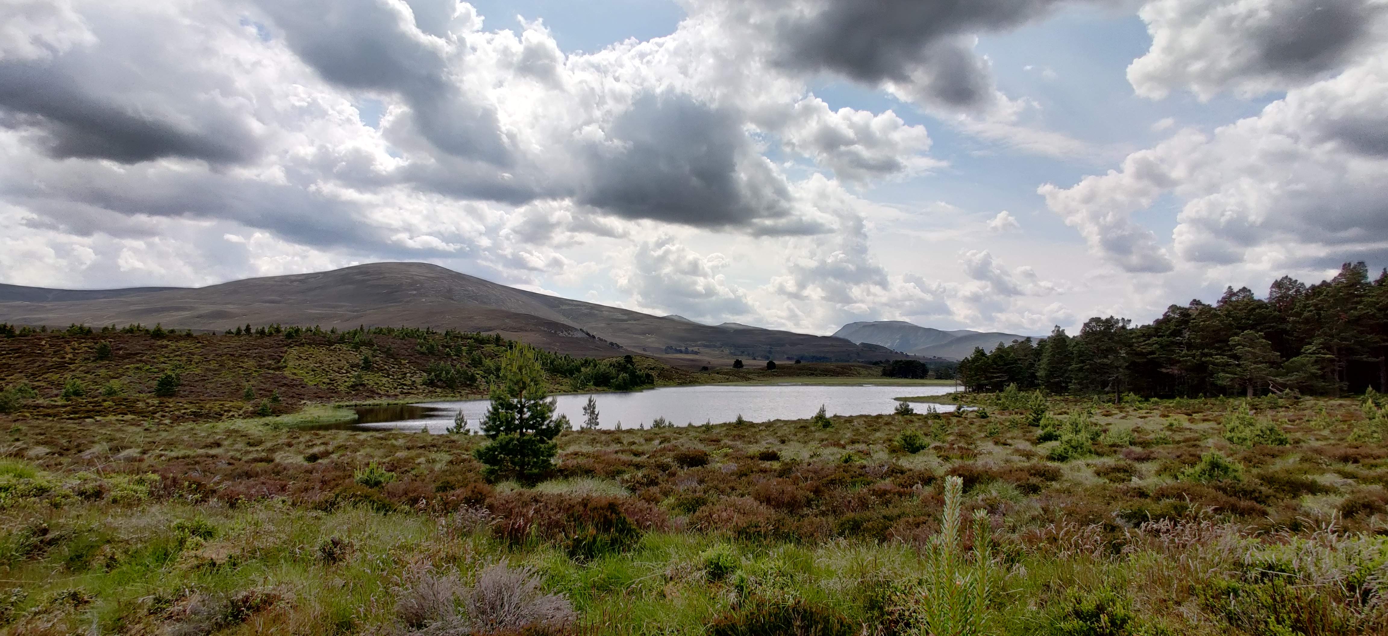 Cairngorms Loop — photo 10