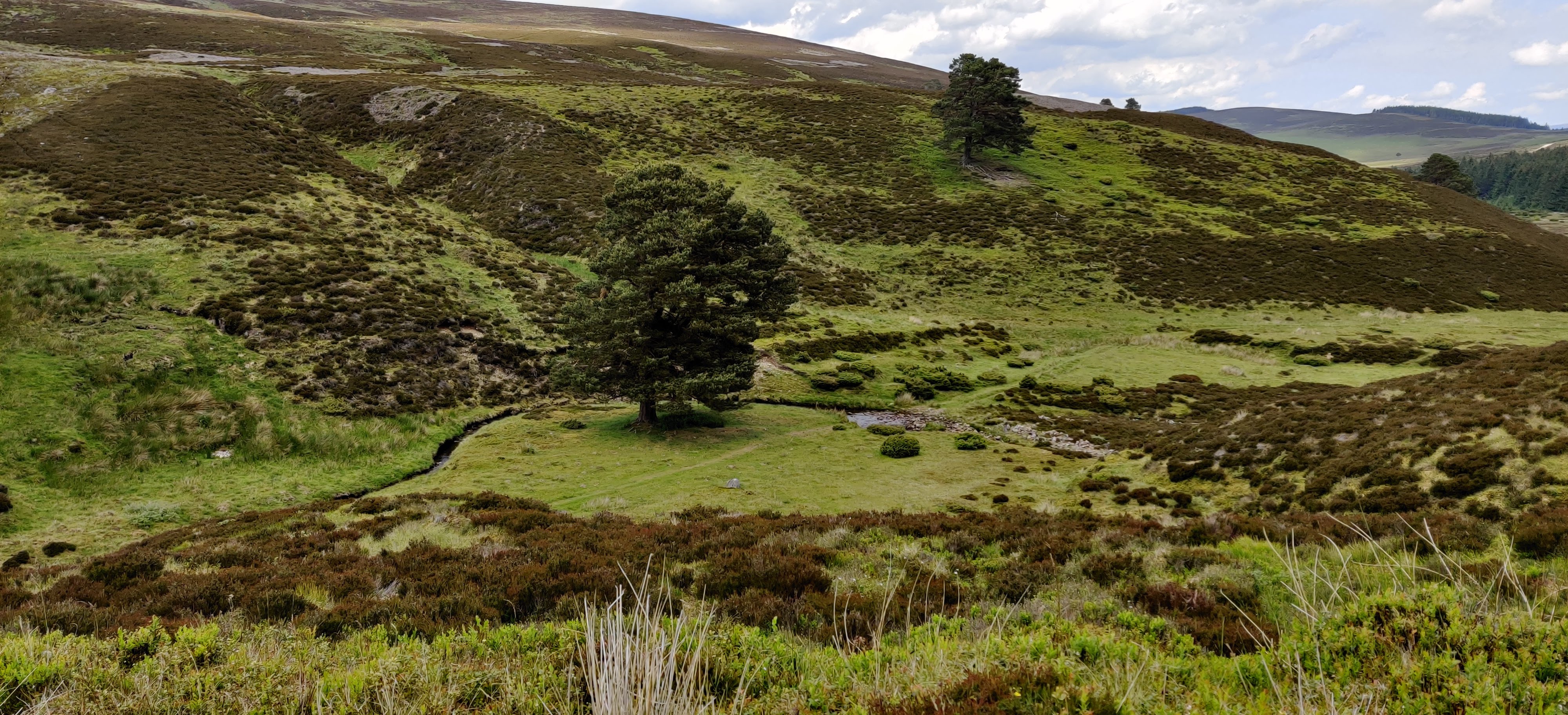 Cairngorms Loop — photo 16