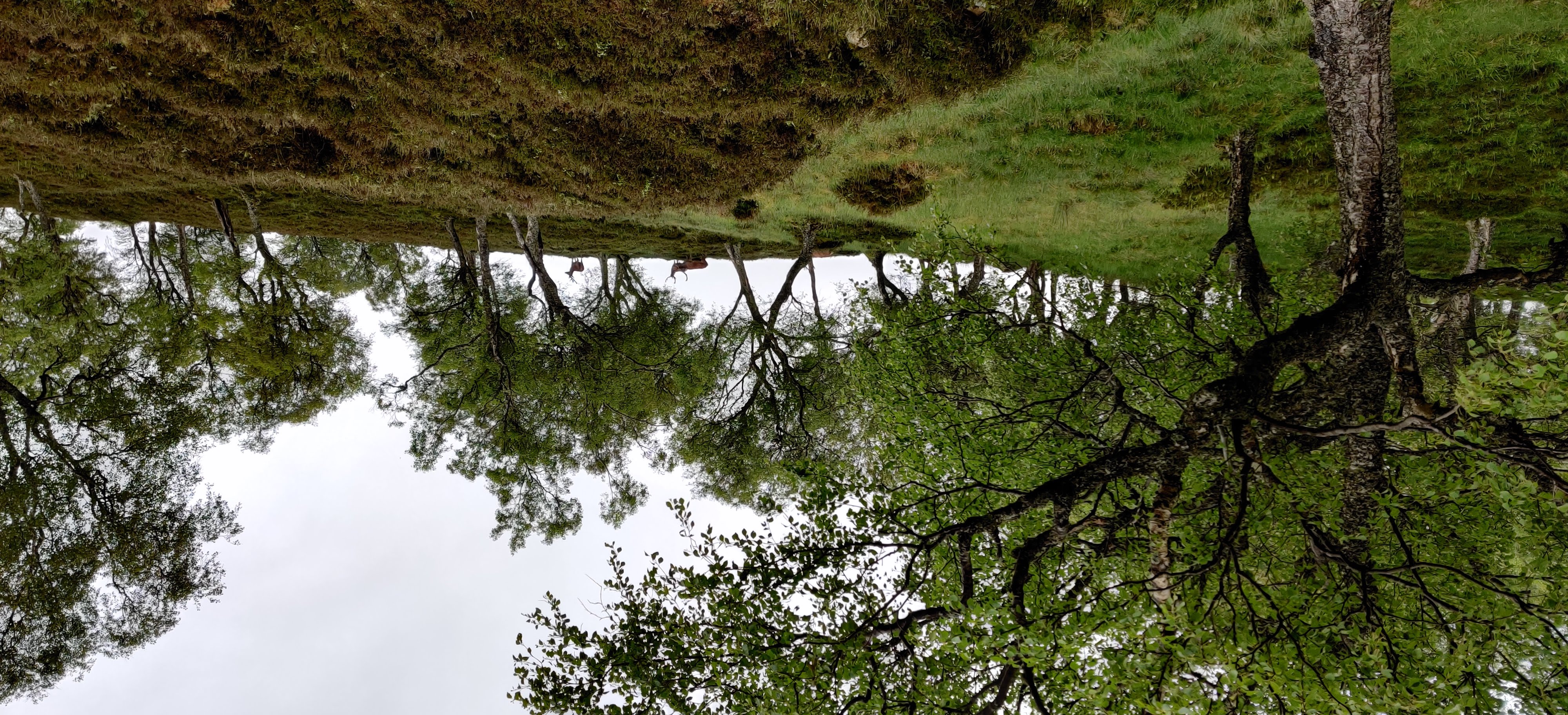 Cairngorms Loop — photo 27