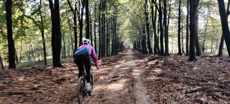 multi — TrueGrit Komoot Grally Veluwe — photo 17