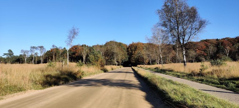 multi — TrueGrit Komoot Grally Veluwe — photo 19