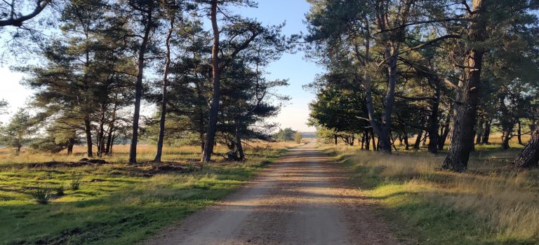 multi — TrueGrit Komoot Grally Veluwe — photo 20