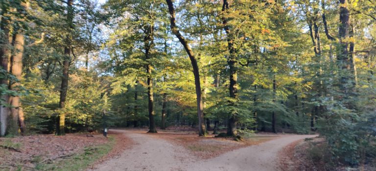 multi — TrueGrit Komoot Grally Veluwe — photo 22