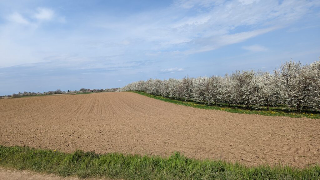 south limburg — Bloesem Gravel Z-Limburg — photo 2