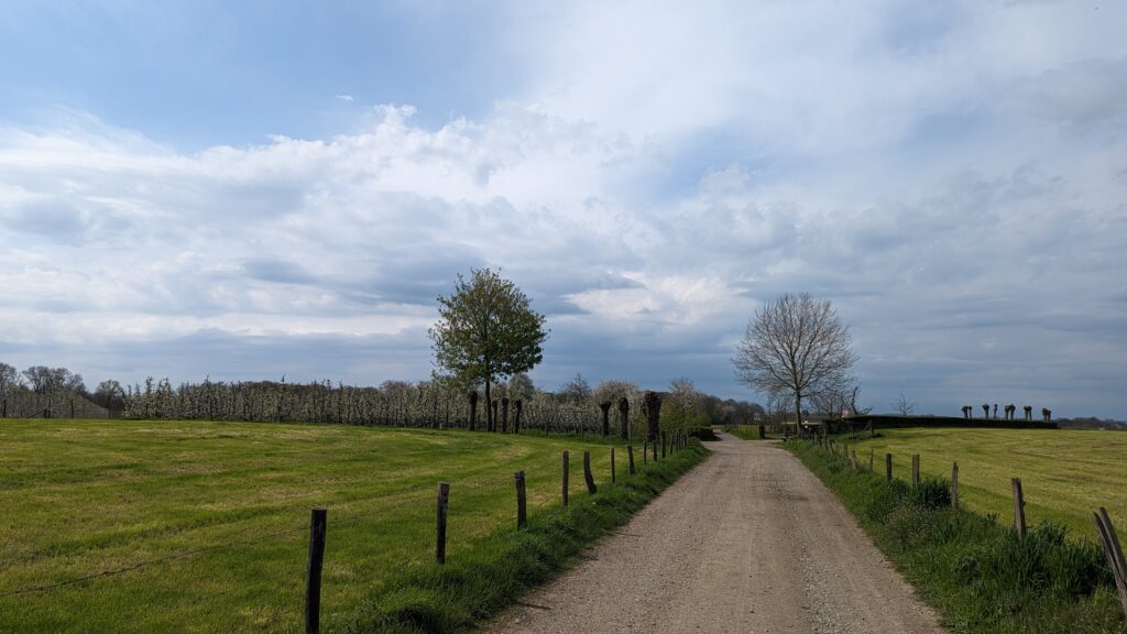 south limburg — Bloesem Gravel Z-Limburg — photo 4