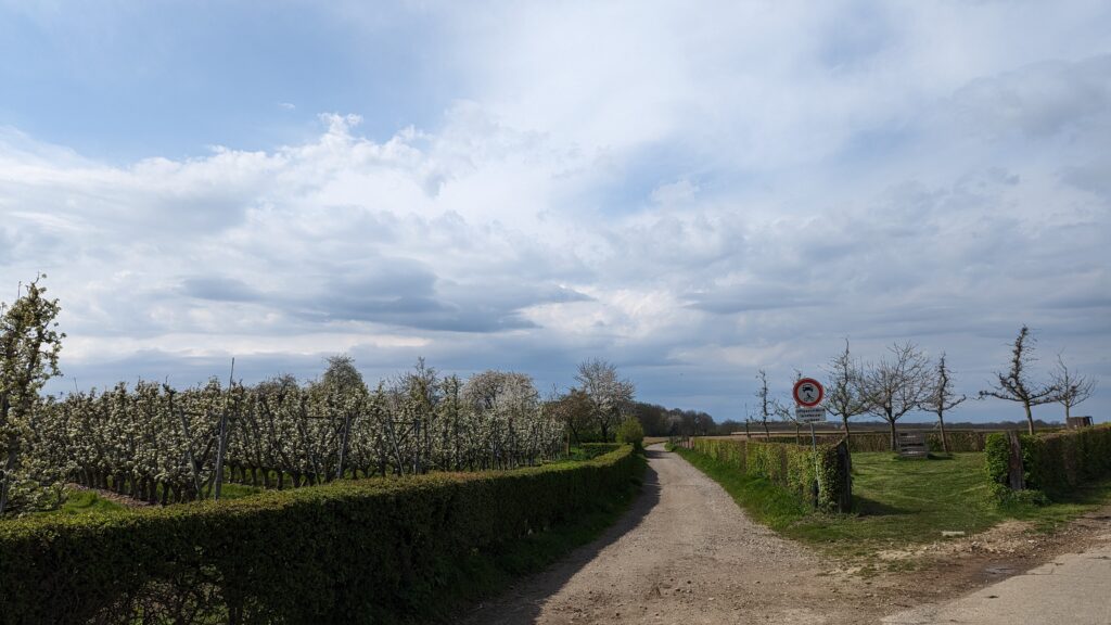 south limburg — Bloesem Gravel Z-Limburg — photo 5