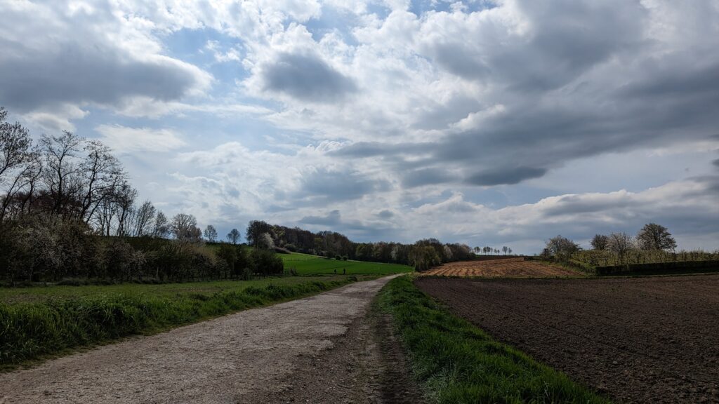 south limburg — Bloesem Gravel Z-Limburg — photo 7