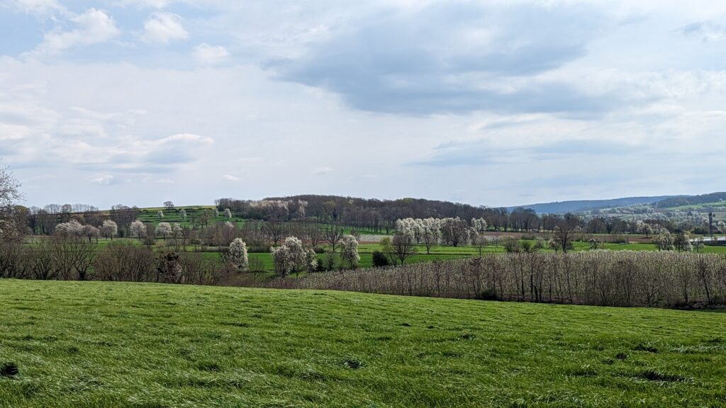 south limburg — Bloesem Gravel Z-Limburg — photo 9