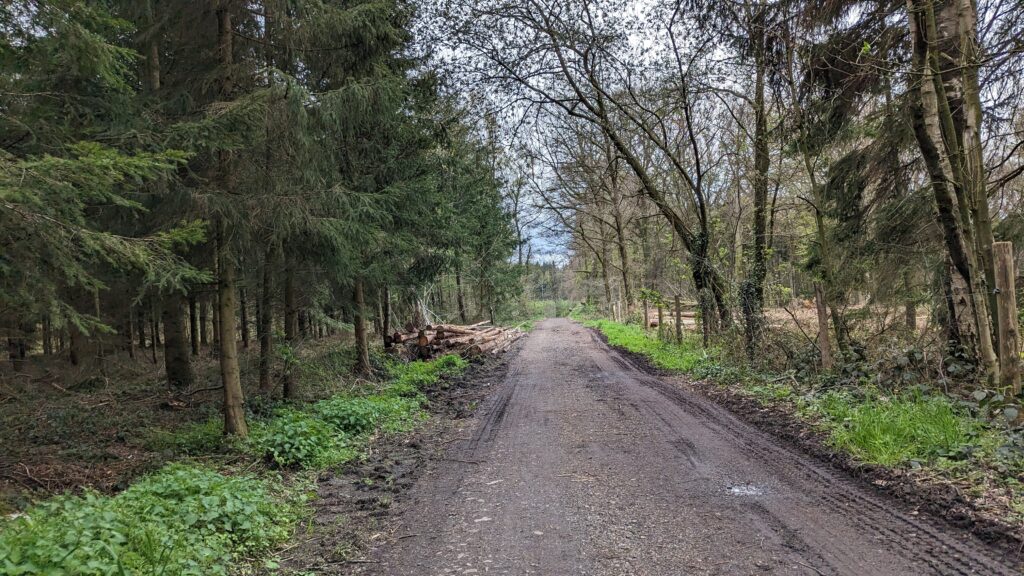 south limburg — Bloesem Gravel Z-Limburg — photo 14
