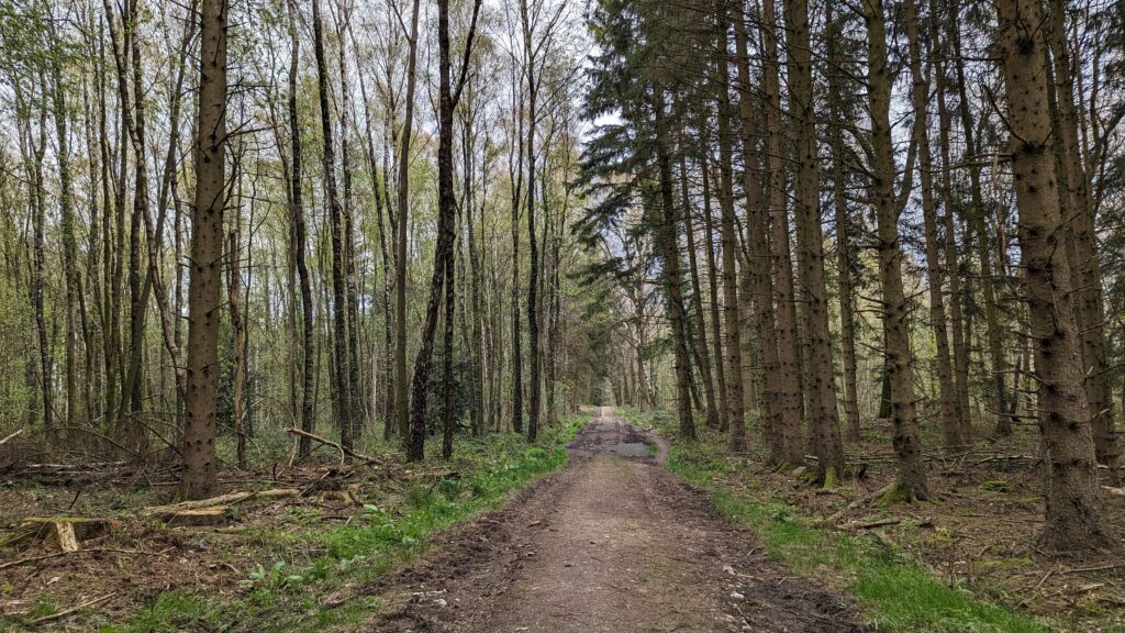 south limburg — Bloesem Gravel Z-Limburg — photo 15