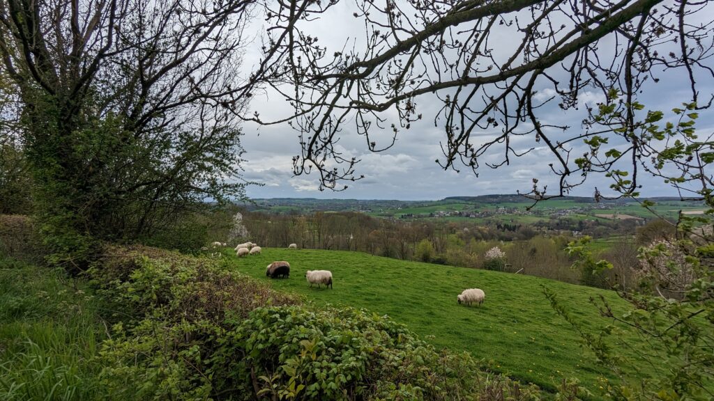 south limburg — Bloesem Gravel Z-Limburg — photo 18