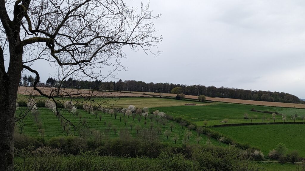 south limburg — Bloesem Gravel Z-Limburg — photo 19