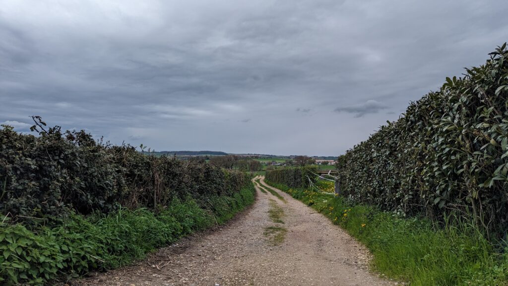 south limburg — Bloesem Gravel Z-Limburg — photo 20