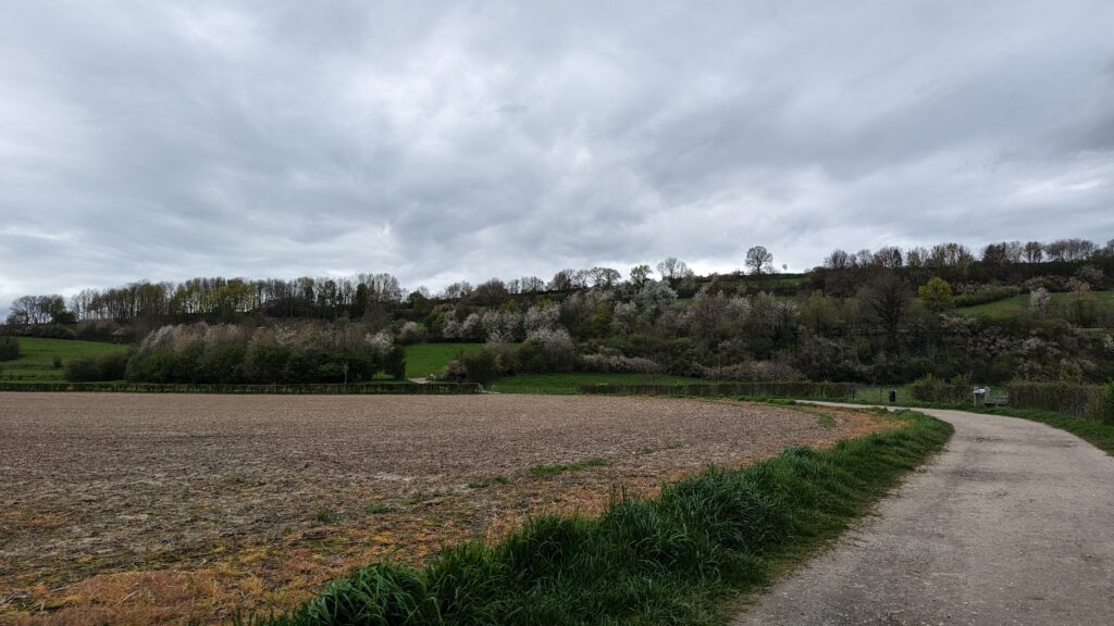 south limburg — Bloesem Gravel Z-Limburg — photo 21