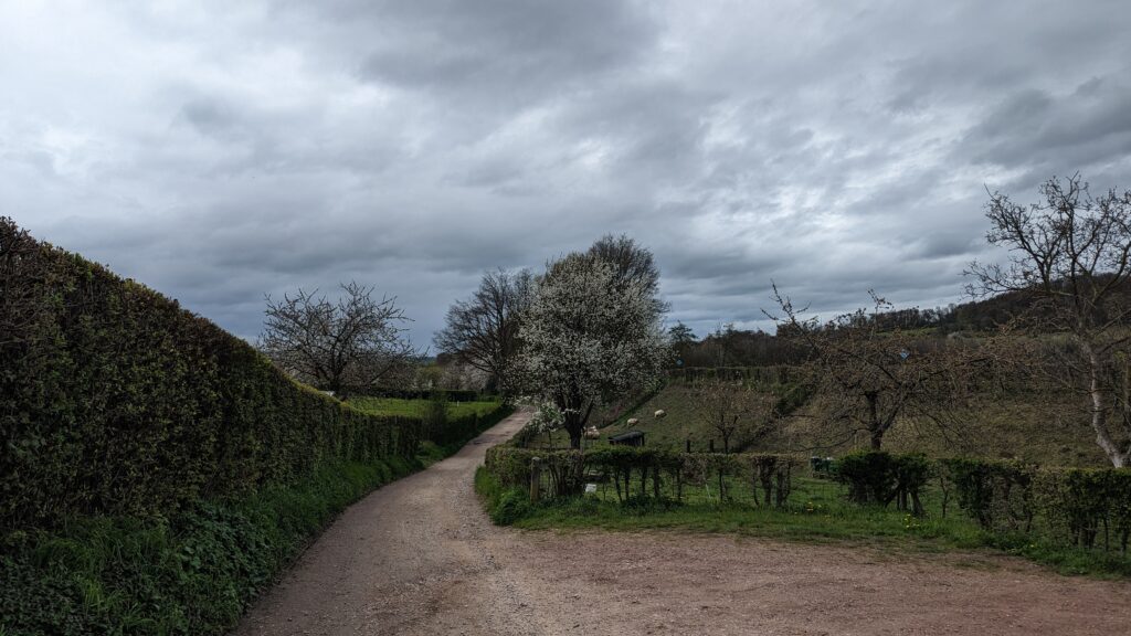 south limburg — Bloesem Gravel Z-Limburg — photo 23