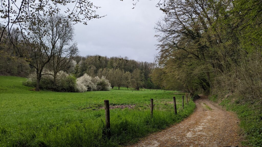 south limburg — Bloesem Gravel Z-Limburg — photo 25