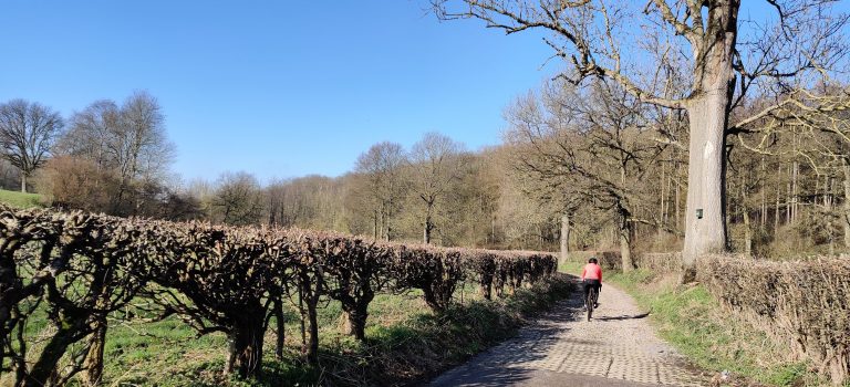 south limburg — Gronsveld-Hijgend Hert-Orsbach — photo 3