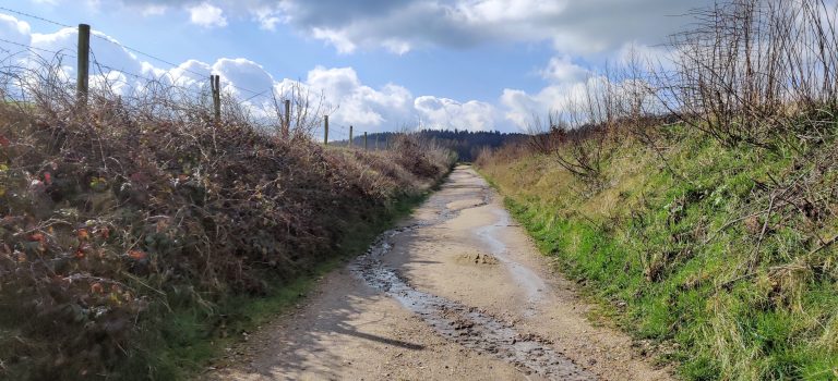 south limburg — Gronsveld-Hijgend Hert-Orsbach — photo 7