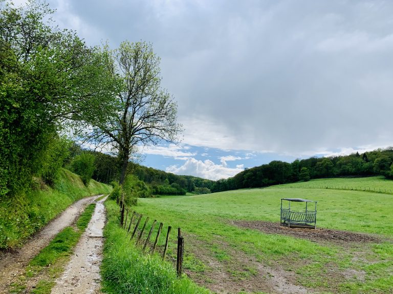 south limburg — Gronsveld-Hijgend Hert-Orsbach — photo 12