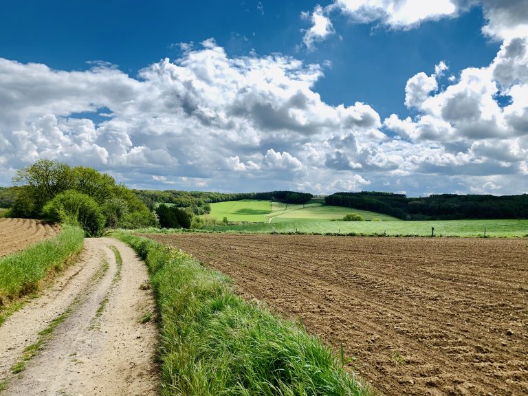 south limburg — Gronsveld-Hijgend Hert-Orsbach — photo 13