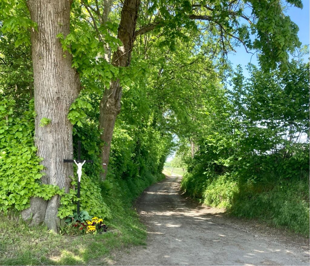 south limburg — Maastricht – Siegfriedlinie – door Rob Janssen — photo 14