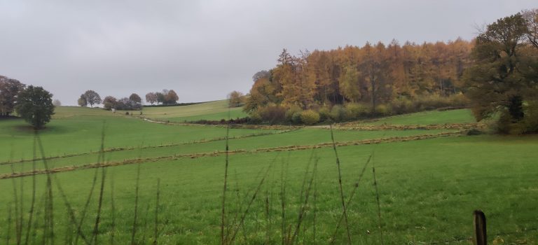 south limburg — Mesch – Vijlen – Voerstreek — photo 19