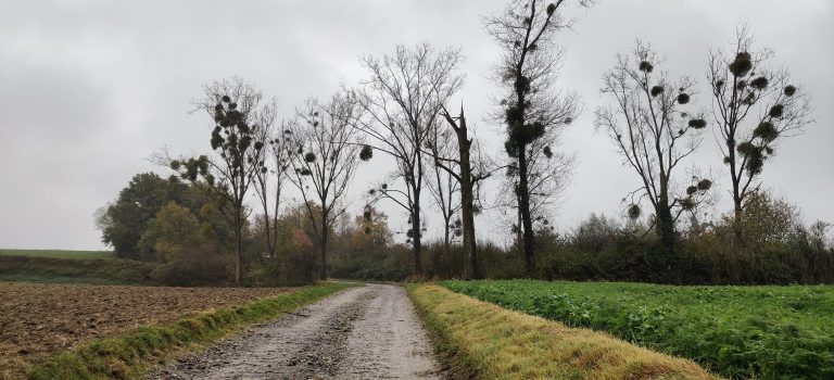 south limburg — Mesch – Vijlen – Voerstreek — photo 21