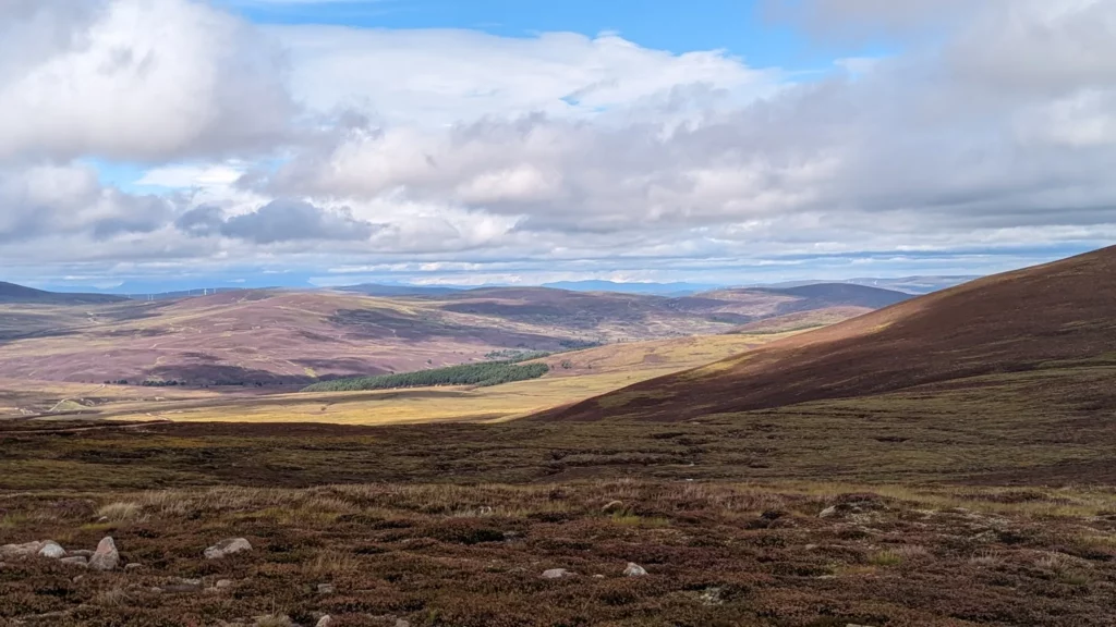 Burma Road Loop Aviemore