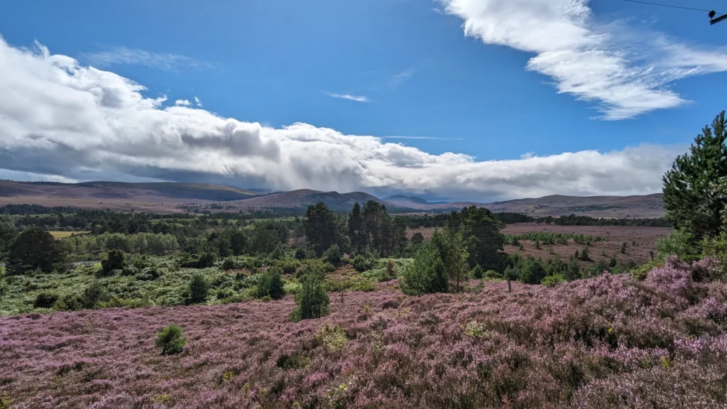 Burma Road Loop Aviemore