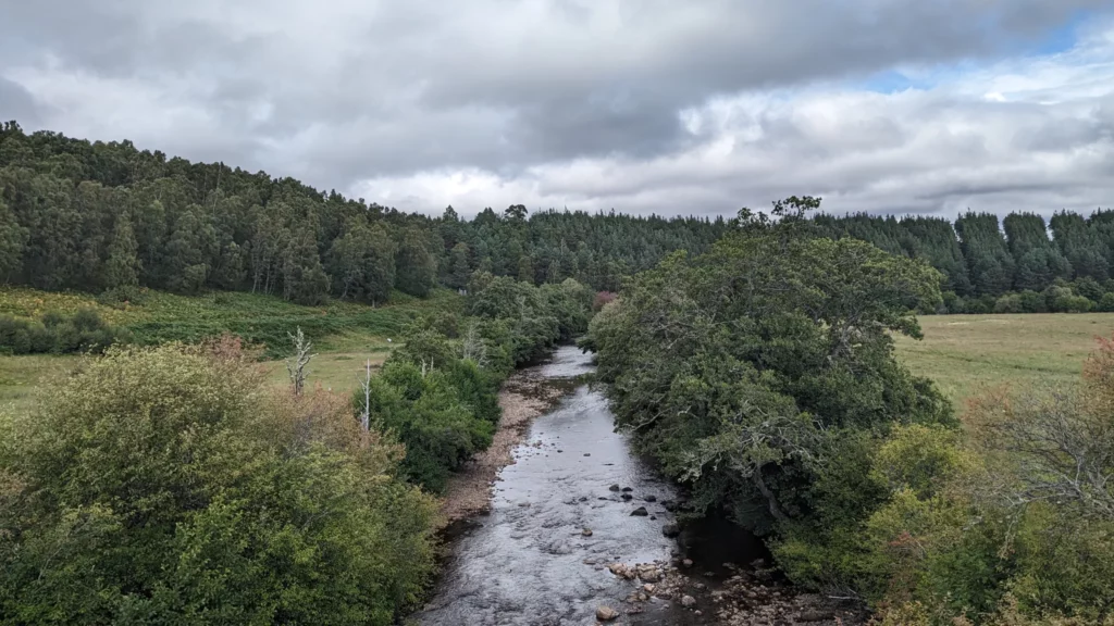 Burma Road Loop Aviemore