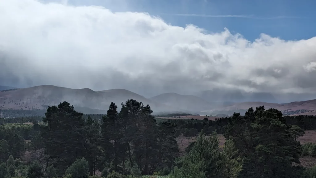 Burma Road Loop Aviemore