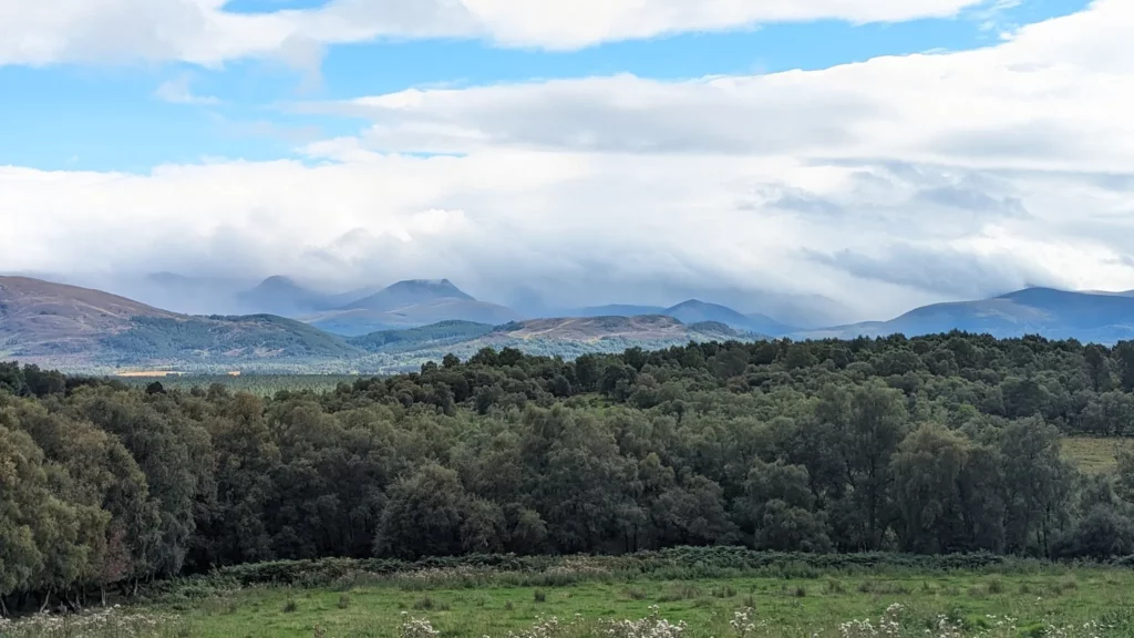Burma Road Loop Aviemore