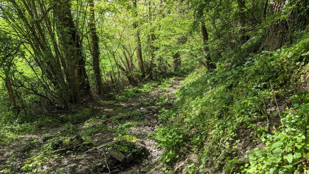 south limburg — Sint Geertruid – Banneux — photo 11