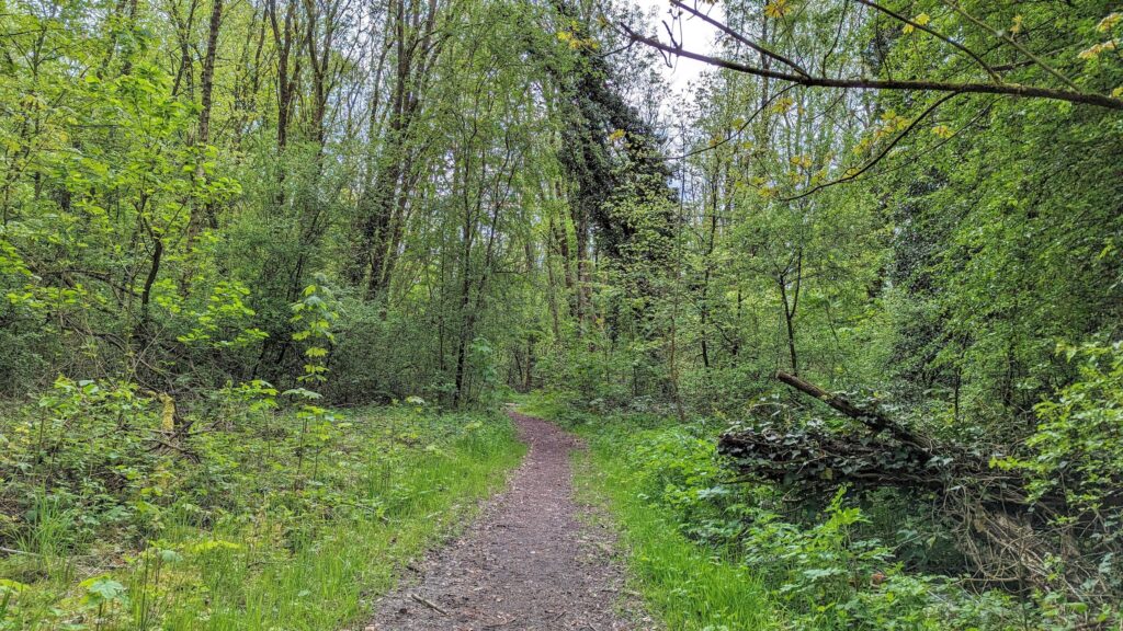 south limburg — Sint Geertruid – Banneux — photo 15