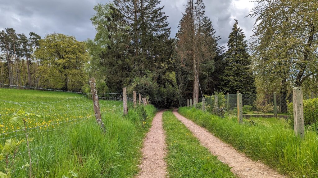 south limburg — Sint Geertruid – Banneux — photo 21