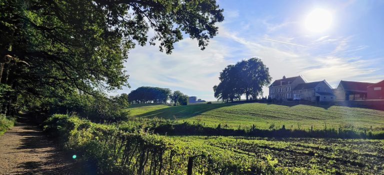 south limburg — Strade Gialle Schimmert Spaubeek Hulsberg — photo 3