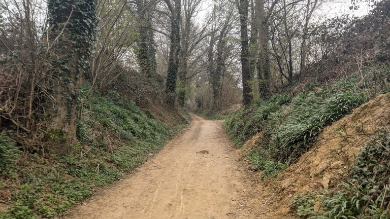 south limburg — Strade Gialle Schimmert Spaubeek Hulsberg — photo 5