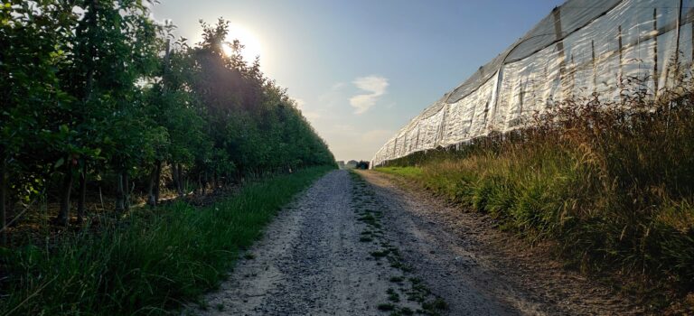 south limburg — Valkenburg – Gulpen – Banholt — photo 4