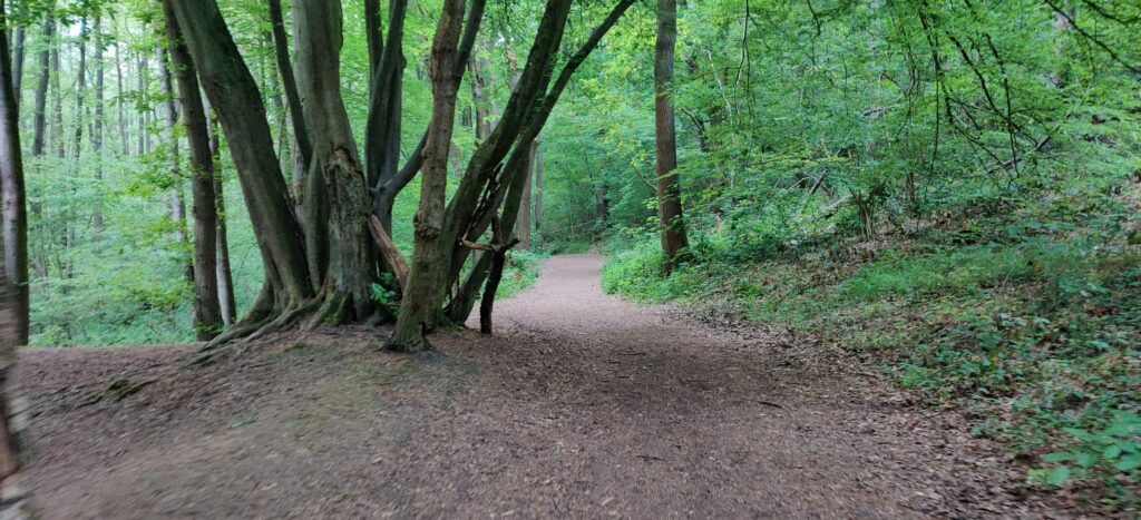 south limburg — Wijnandsrade – Schimmert — photo 6